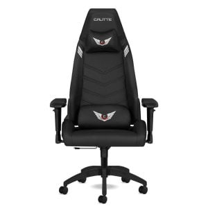 Titan TT PRO Siyah Oyuncu Koltuğu - Profesyonel Performans