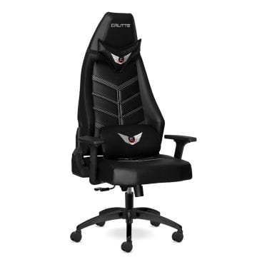 Titan TT Eco Siyah Profesyonel Oyuncu Koltuğu