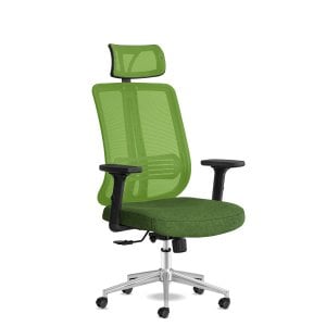 Spark Başlıklı Yeşil Krom Çalışma Koltuğu