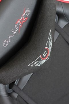 Axeon XN Profesyonel Oyuncu ve Çalışma Koltuğu